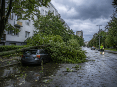Prudká búrka udrela na Bratislavu. Strecha zranila ľudí, strom spadol na auto s dieťaťom